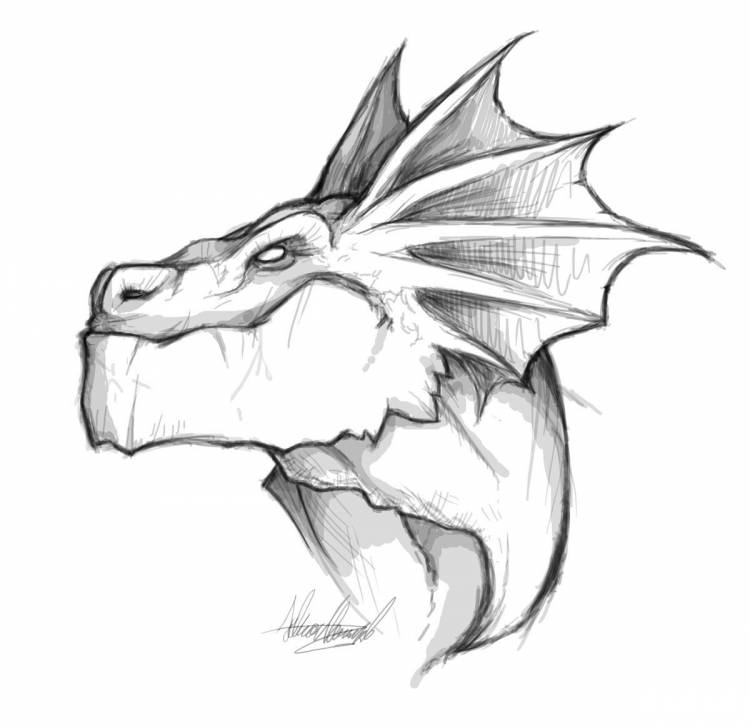 Рисунки драконов легкие