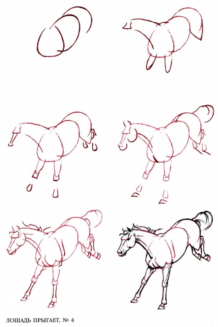 Как нарисовать лошадь пошагово карандашом