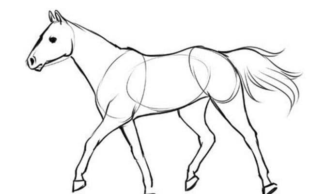 Как нарисовать лошадь 