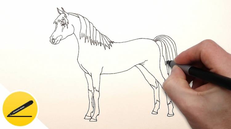 How to Draw a Horse step by step ✓