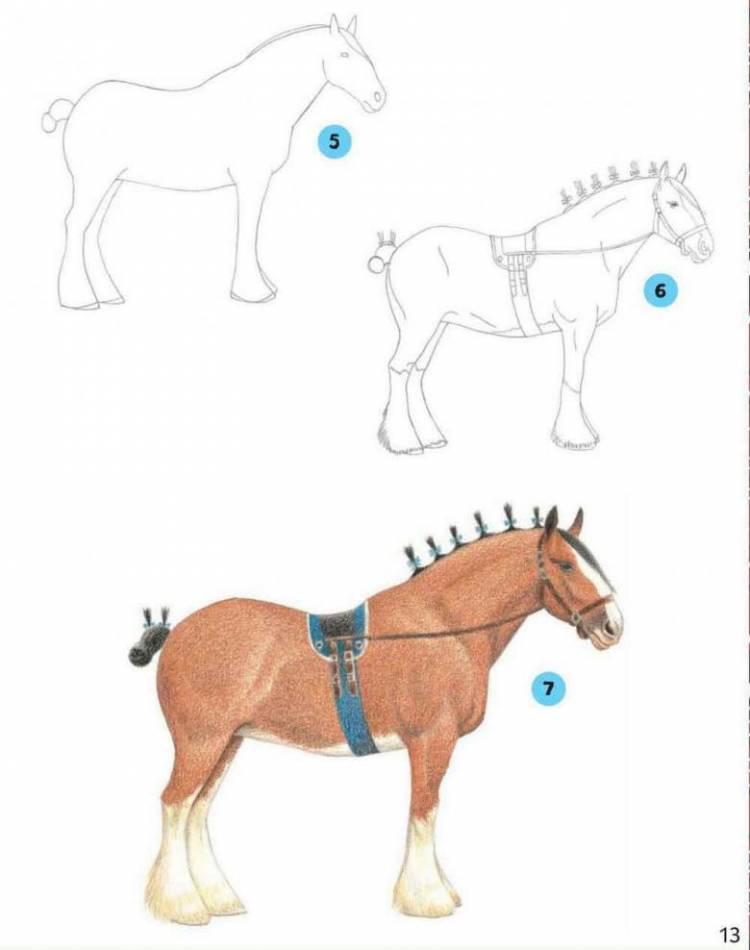 Как нарисовать лошадь поэтапно карандашом 
