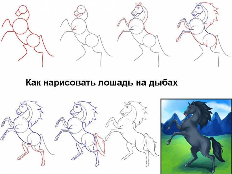 Учимся рисовать лошадей по схемам