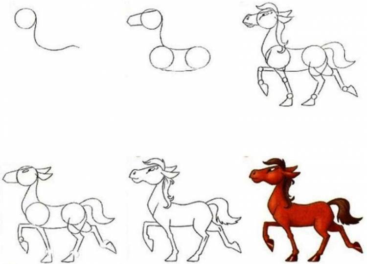 Как нарисовать лошадь 