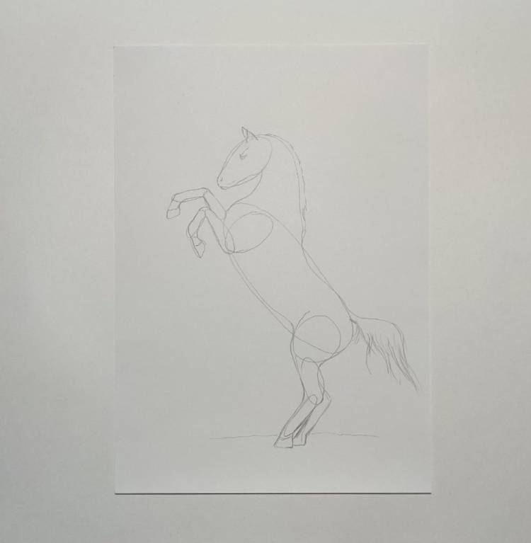 Как легко нарисовать лошадь карандашом