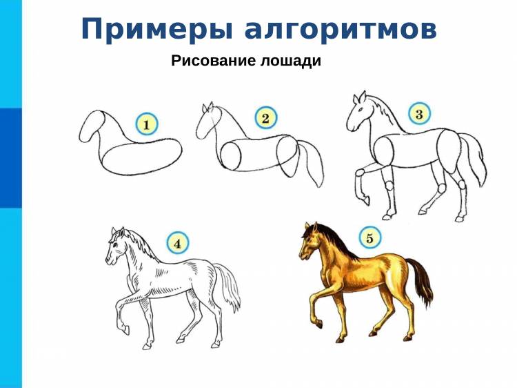 Как нарисовать лошадку 