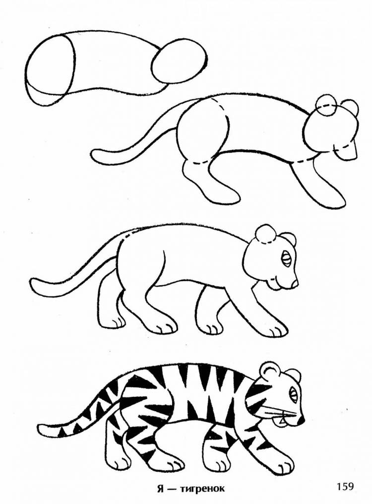 Схема рисования тигра для детей