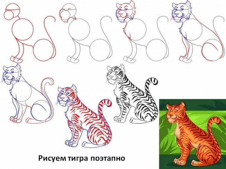 Как нарисовать тигра, рисуем символ