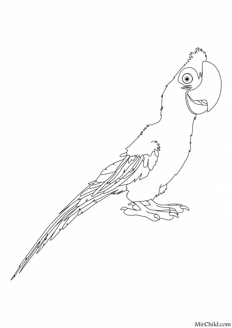 скачать бесплатные раскраски с птицами раскраски для детей с попугаями