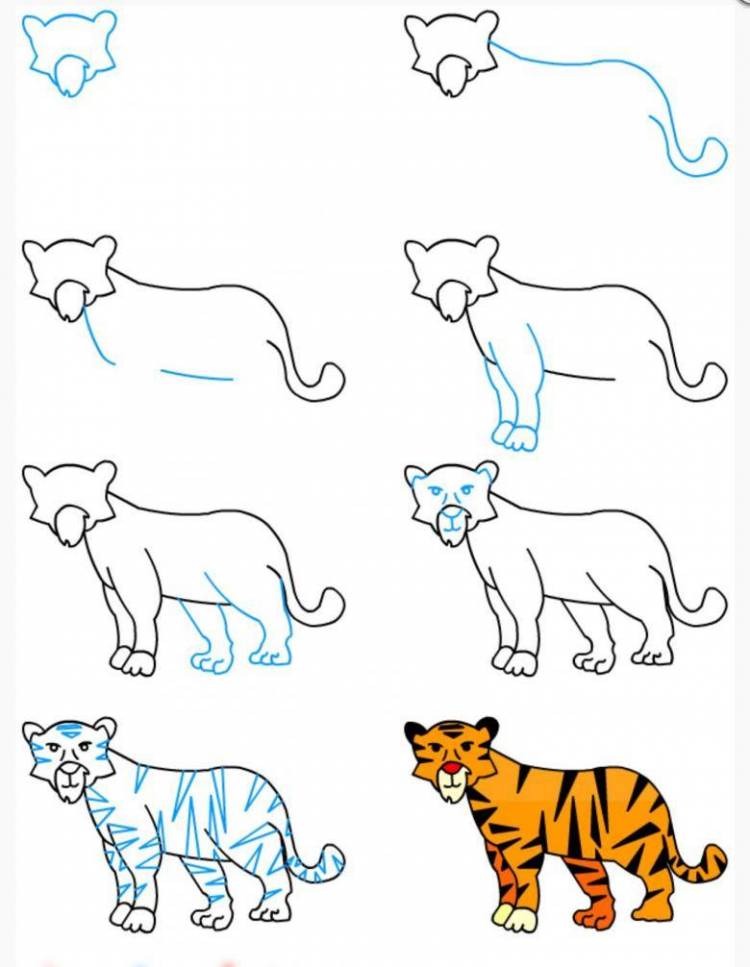 Как нарисовать тигра карандашом и красками