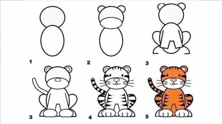 Как нарисовать тигра 