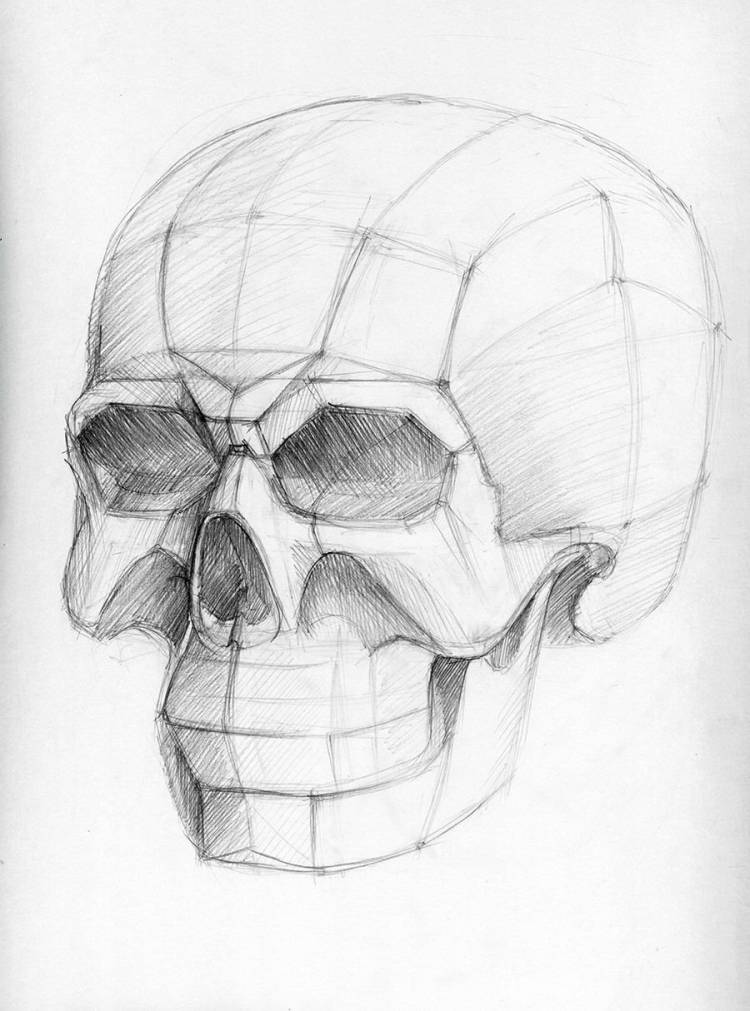 Рисунок череп