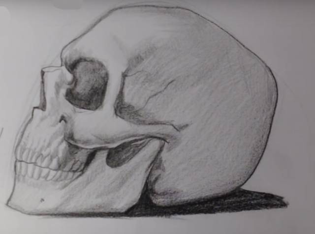 Рисунки черепа карандашом для начинающих 