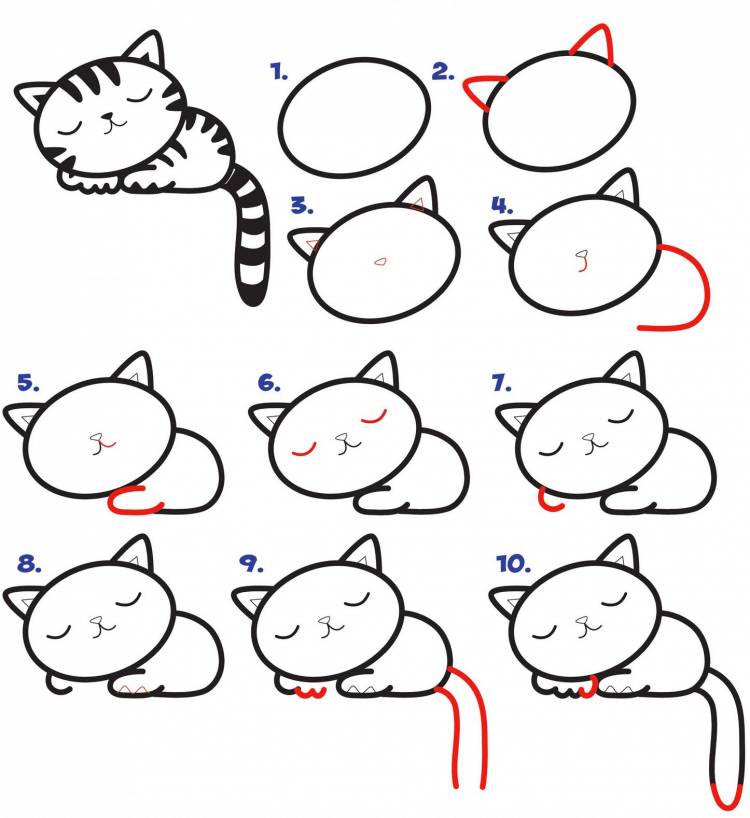 Как нарисовать кошку поэтапно карандашом и красками