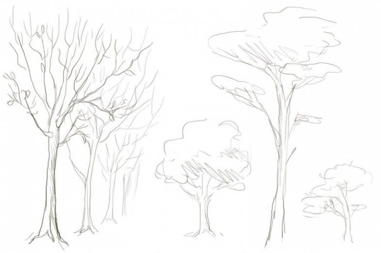 Как нарисовать дерево поэтапно