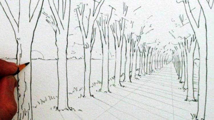 Как нарисовать лес поэтапно карандашом и красками