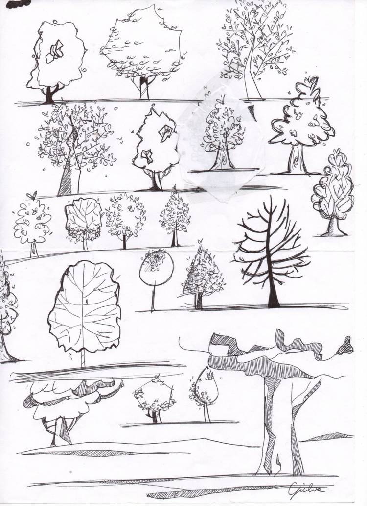 Поэтапное рисование деревьев для дошкольников