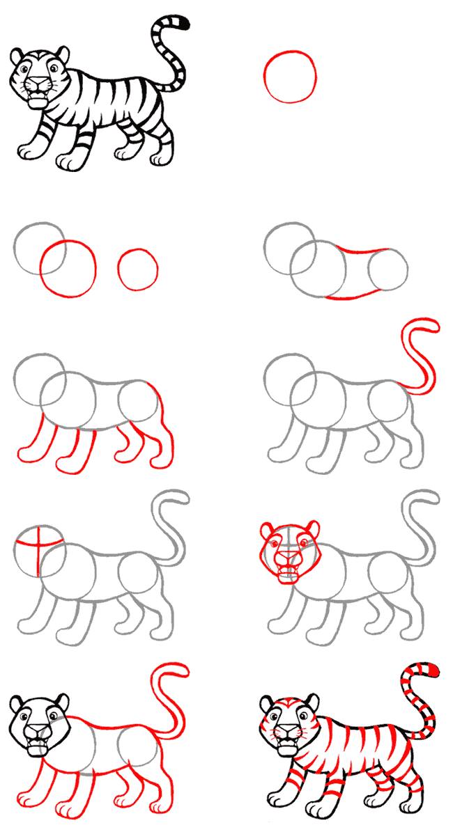 Как нарисовать тигра пошаговая инструкция для детей и взрослых, рисуем символ