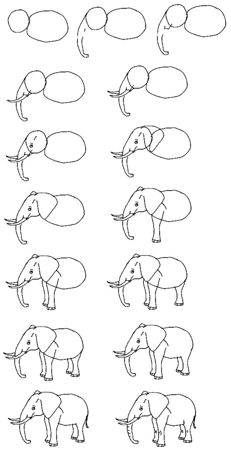 Рисование для начинающих схемы. Рисунки пошагово для детей. Рисование слона. Поэтапное рисование слона. Поэтапное рисование слога.