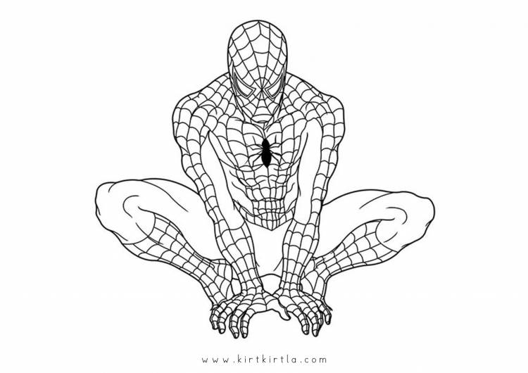 Человек паук рисунок легкий карандашом