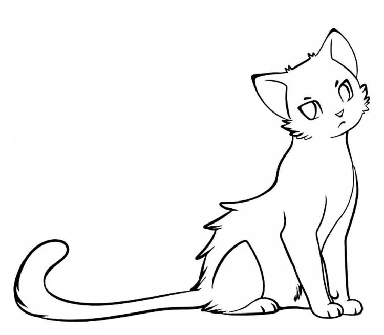 Рисунки котиков для срисовки красивые