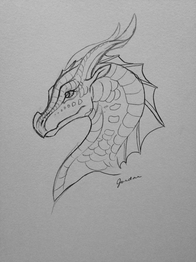 Рисунки драконов карандашом для срисовки красивые