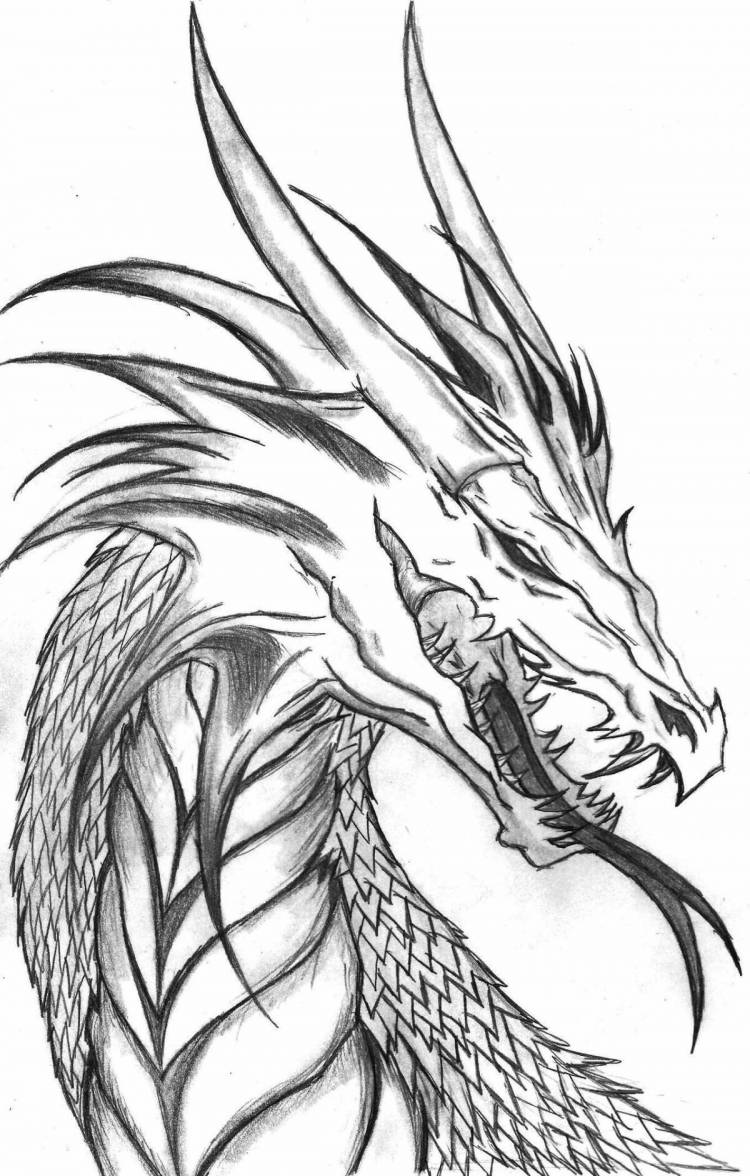 Нарисованные драконы 