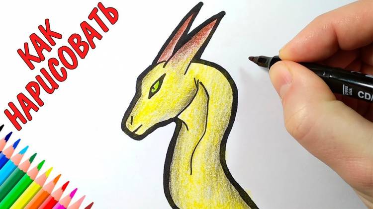 How to draw a dragon, just draw