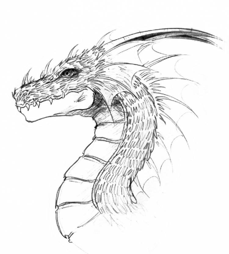 Китайский дракон рисунок карандашом для срисовки