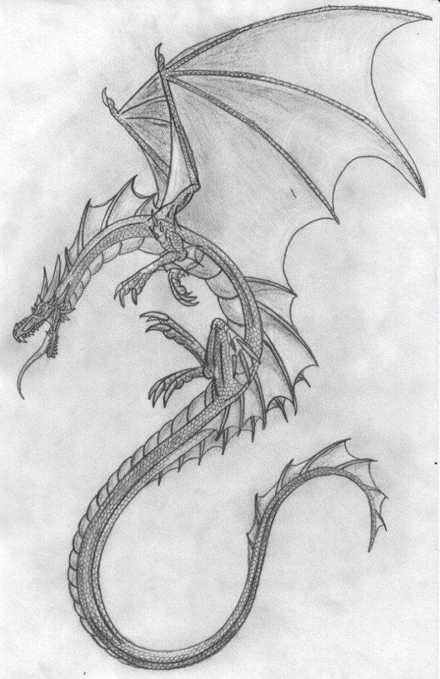 Черно-белые рисунки драконов карандашом 