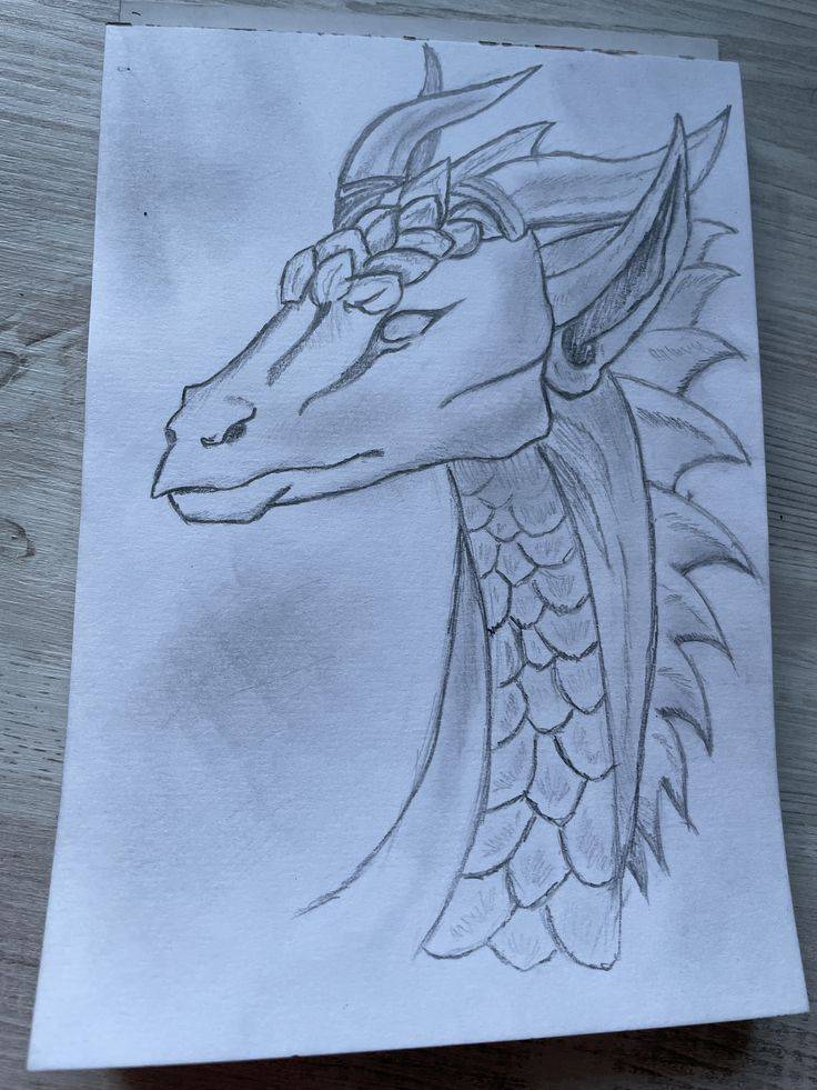 Рисунки драконов для срисовки лёгкие