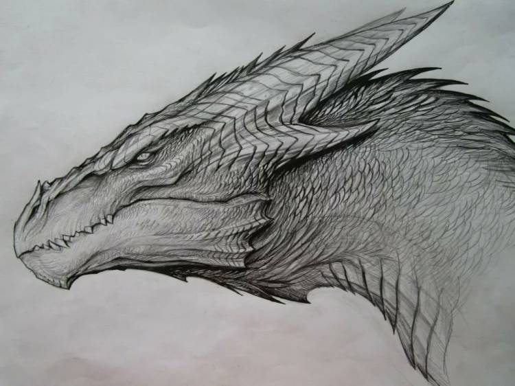 Черно-белые рисунки драконов карандашом 