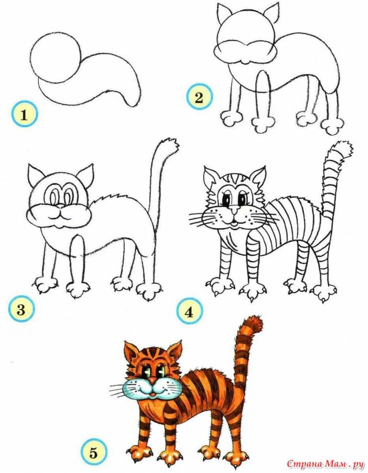 Схема рисования кошки для детей