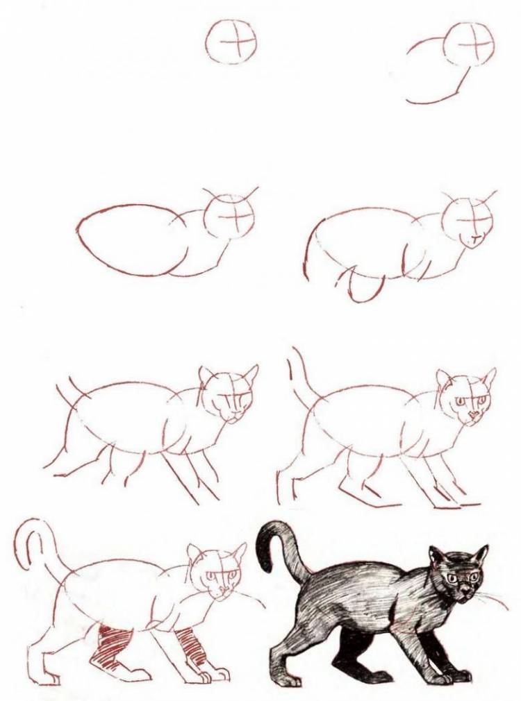 Кошки для рисования