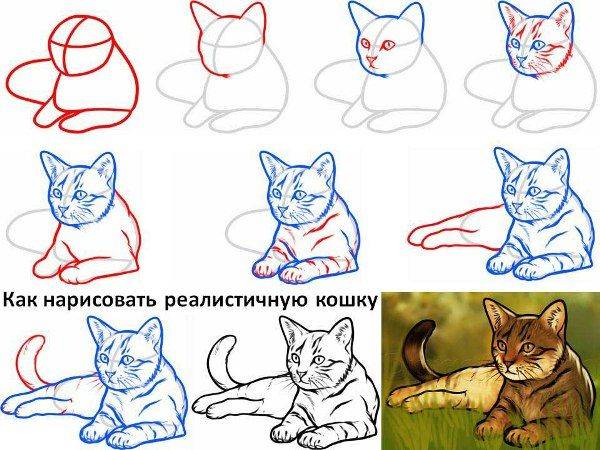 Как нарисовать кошку легко и красиво 