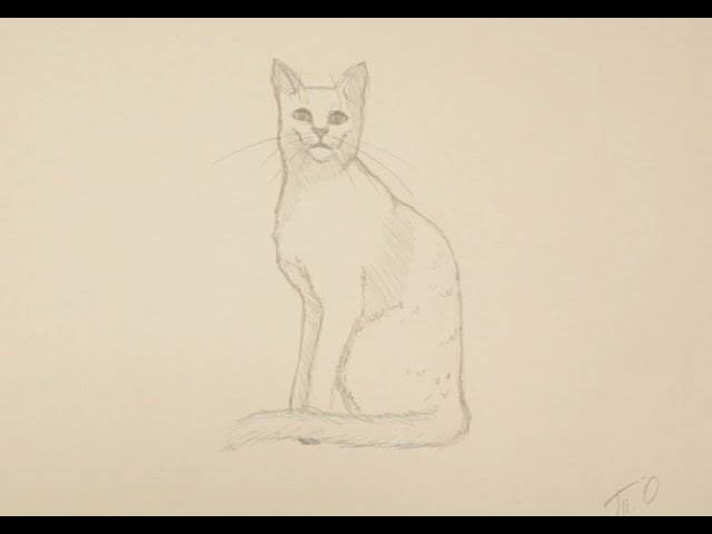 Как нарисовать кошку поэтапно простым карандашом начинающие