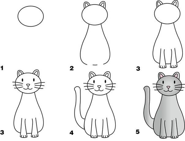 Поэтапный урок как нарисовать кошку