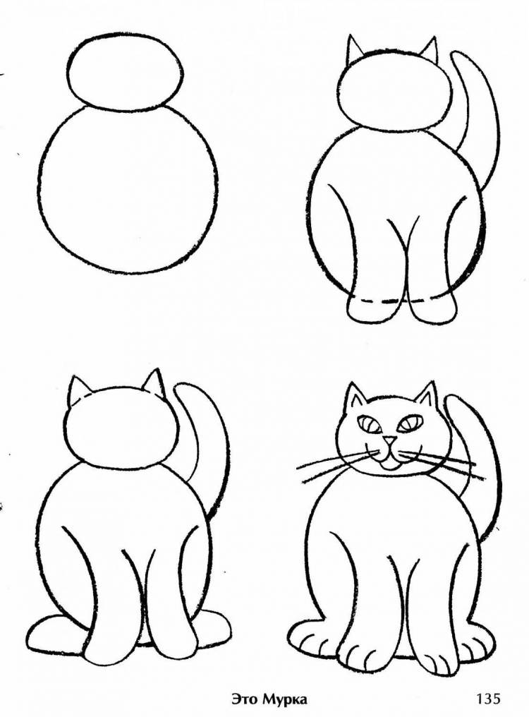 Конспект занятия по рисованию в средней группе «Кошка»