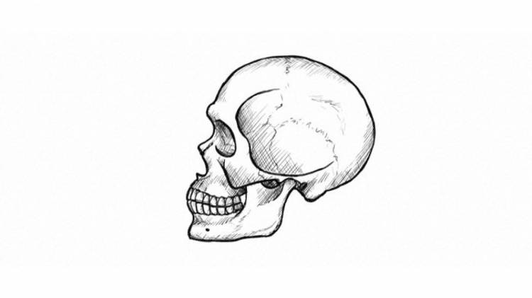 Как нарисовать череп поэтапно