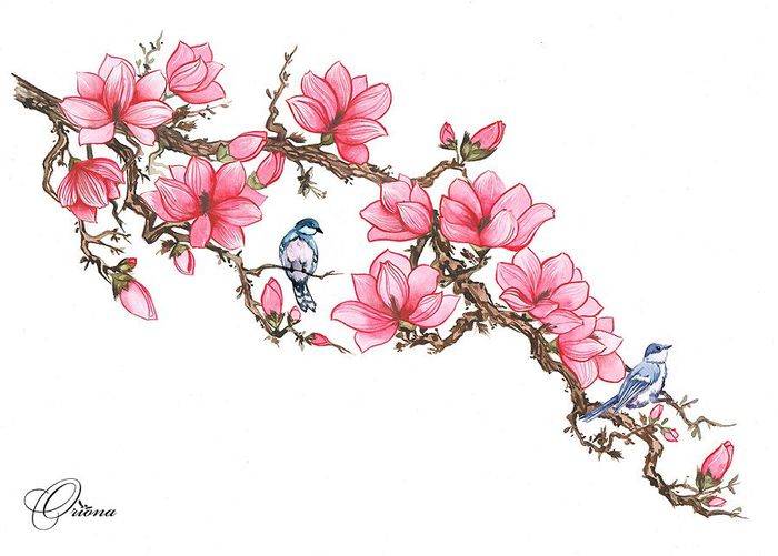 Цветы в японском стиле рисунки для детей и взрослых