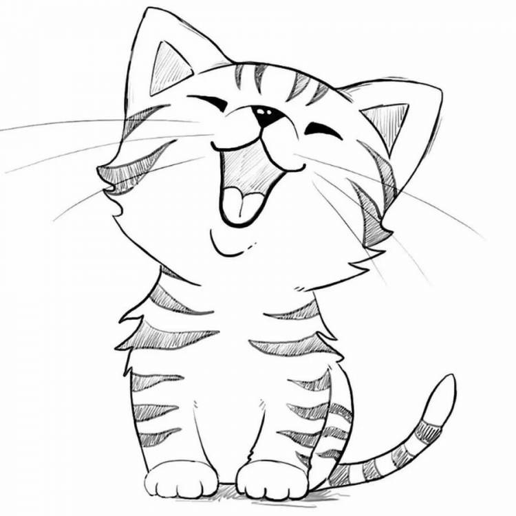 Картинки нарисованные котики легкие. Котик рисунок. Легкие рисунки для срисовки. Лёгкие рисунки для Сприсовки. Рисунок кошки для срисовки легкие.