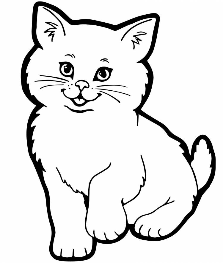 Котик рисунок раскраска