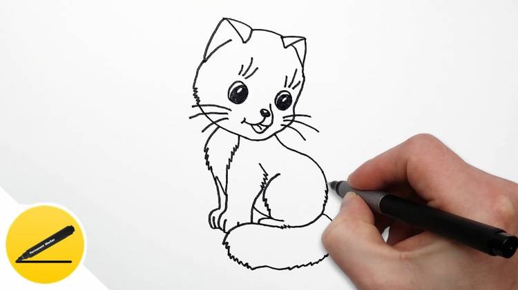 How to Draw a Cat step by step easy for kids ✓
