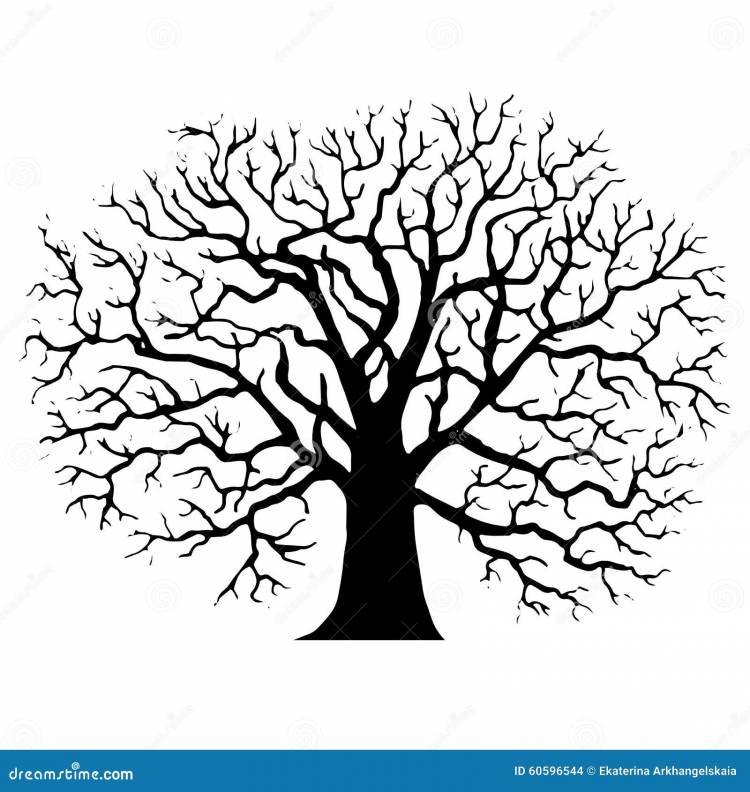Дерево без силуэта листьев иллюстрация вектора
