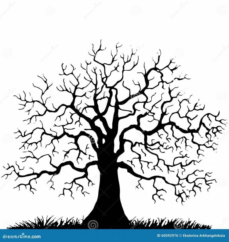 Дерево без силуэта листьев иллюстрация вектора