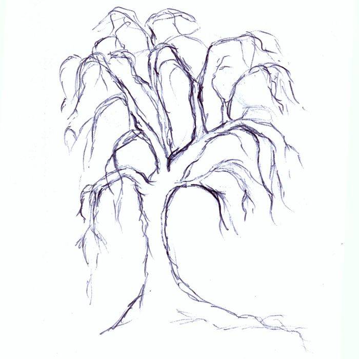 Картинки деревьев для срисовки карандашом