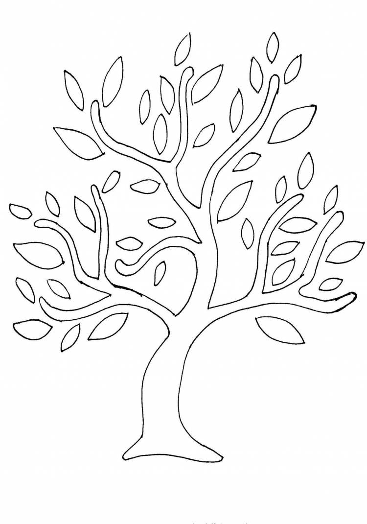 Дерево без листьев раскраска для детей