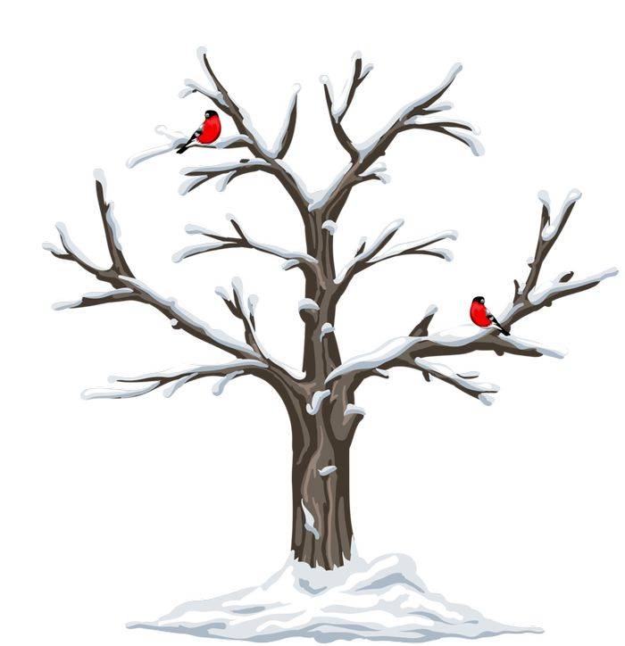 Картинки нарисованных деревев зимой для детей