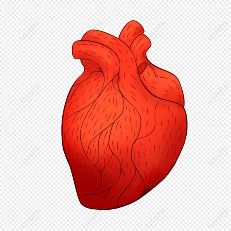 Сердце нарисованное рукой изображение_Фото номер