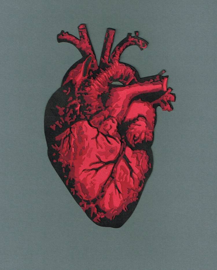 Картинка сердце настоящее