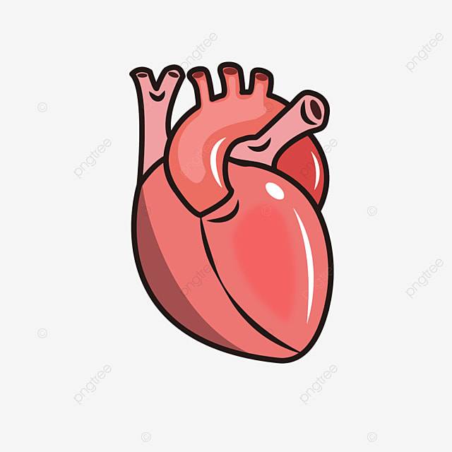 Розовая тень сердца настоящее сердце картинки PNG , Реальное сердце Clipart, сердце, настоящее сердце PNG картинки и пнг рисунок для бесплатной загрузки
